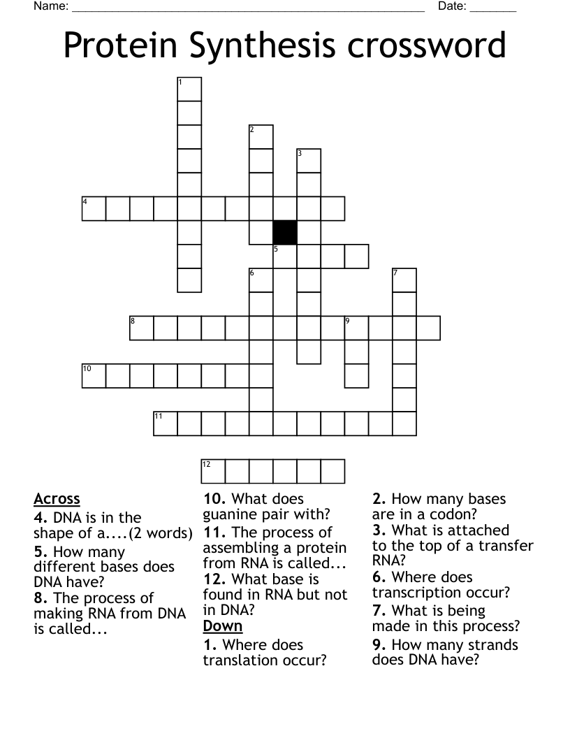 Protein Synthesis crossword