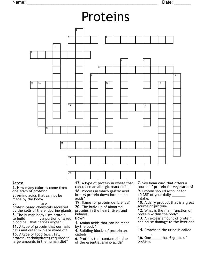 Proteins Crossword