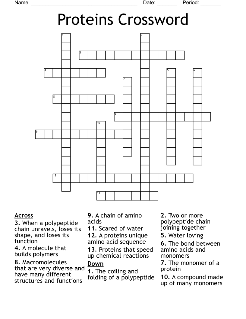 Proteins Crossword
