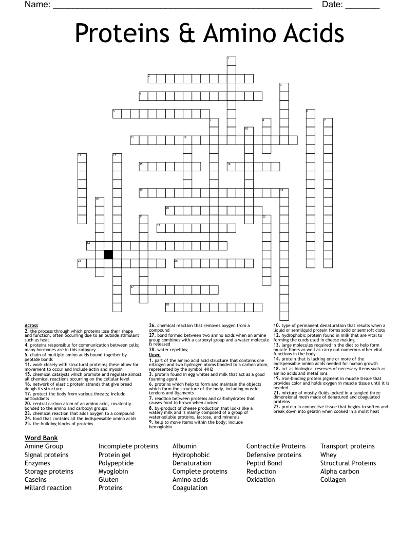 Proteins & Amino Acids Crossword