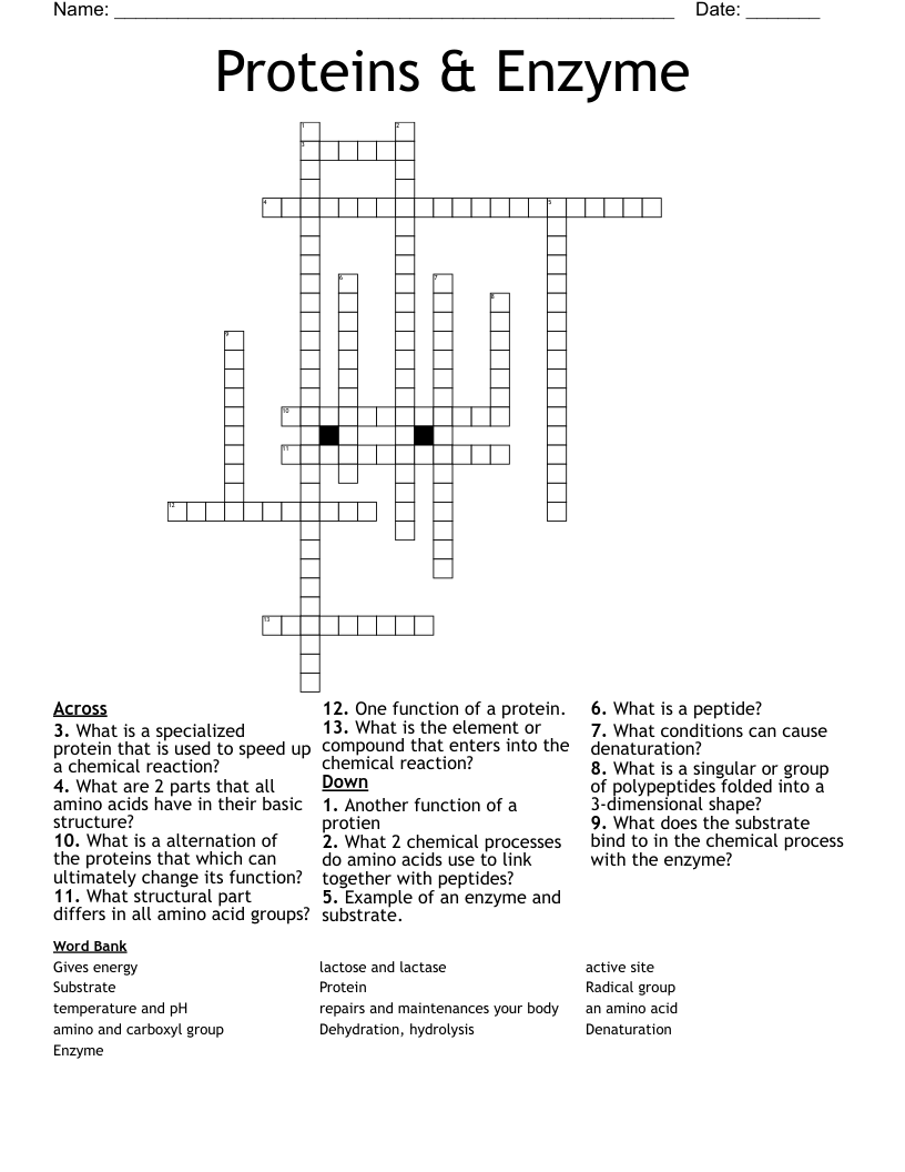 Proteins & Enzyme Crossword