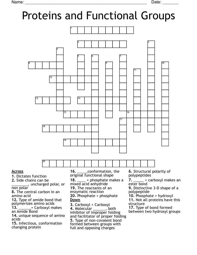 Proteins and Functional Groups  Crossword