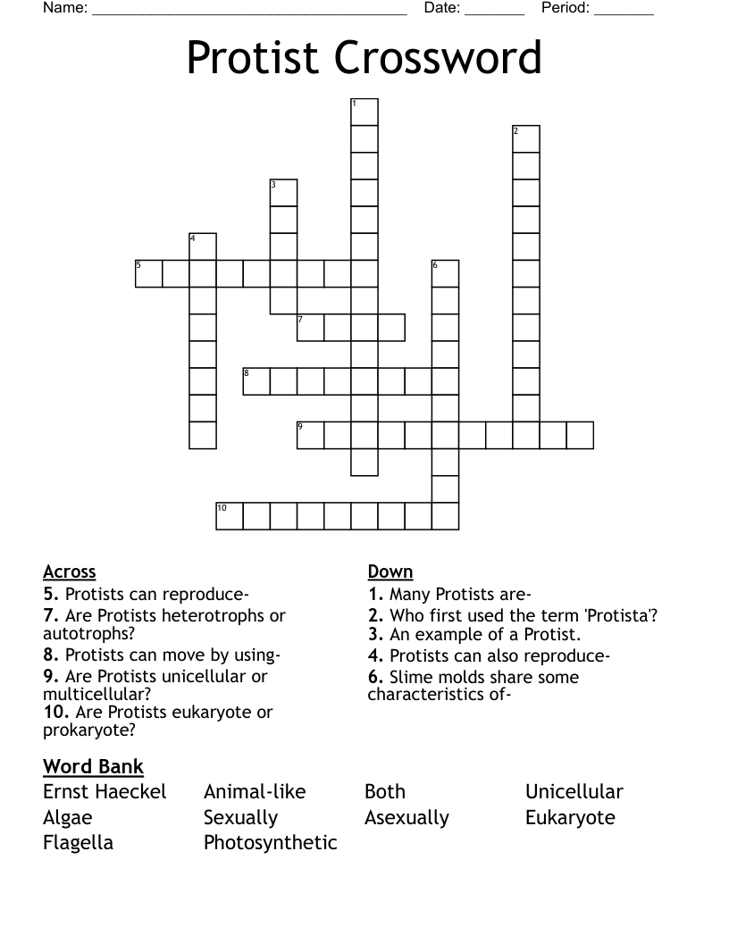 Protist Crossword