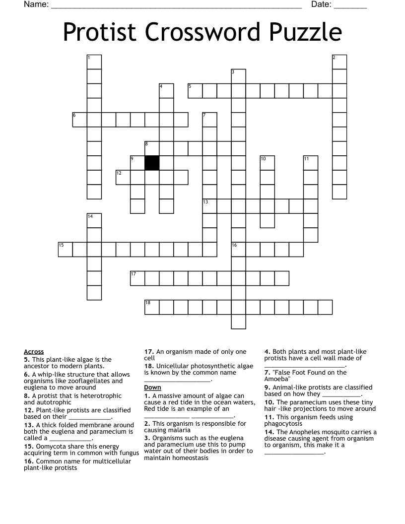 Protist Crossword Puzzle