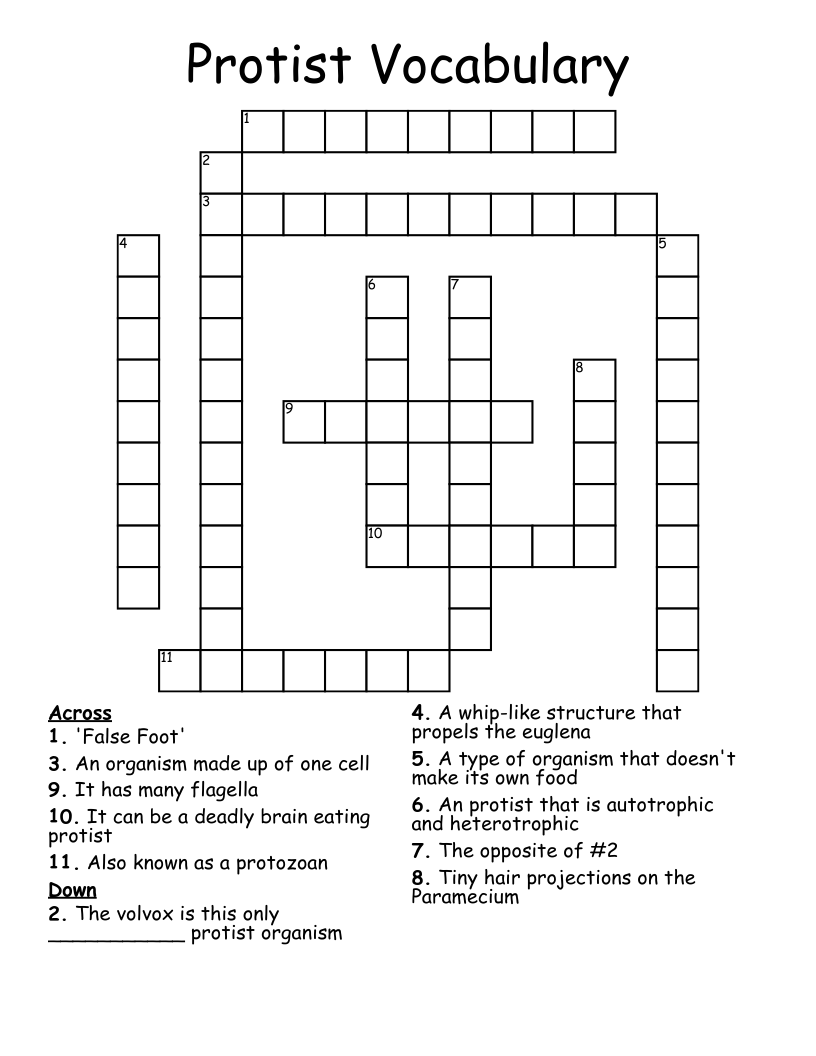 Protist Vocabulary Crossword