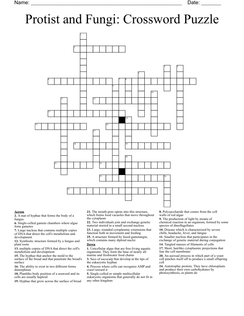 Protist and Fungi: Crossword Puzzle