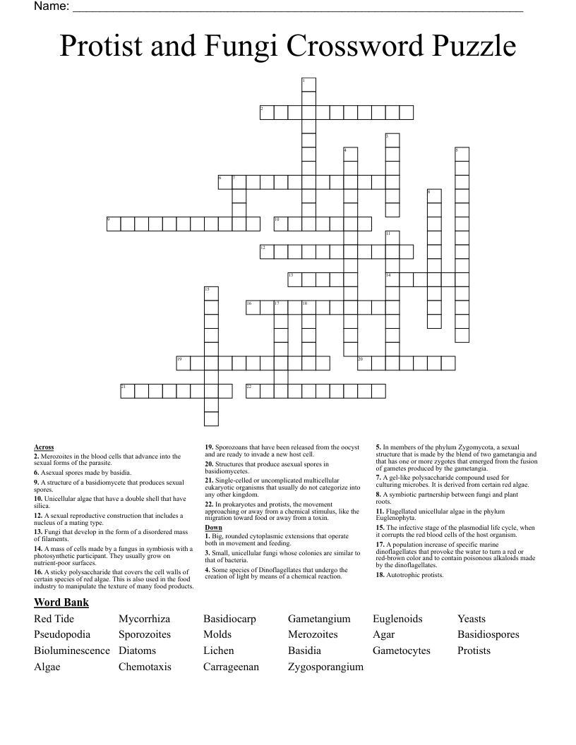 Protist and Fungi Crossword Puzzle