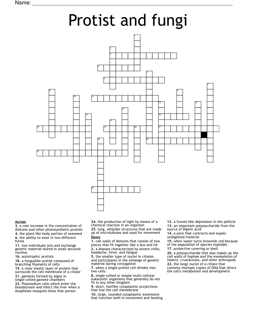 Protist and fungi  Crossword