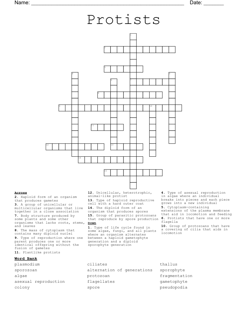Protists Crossword