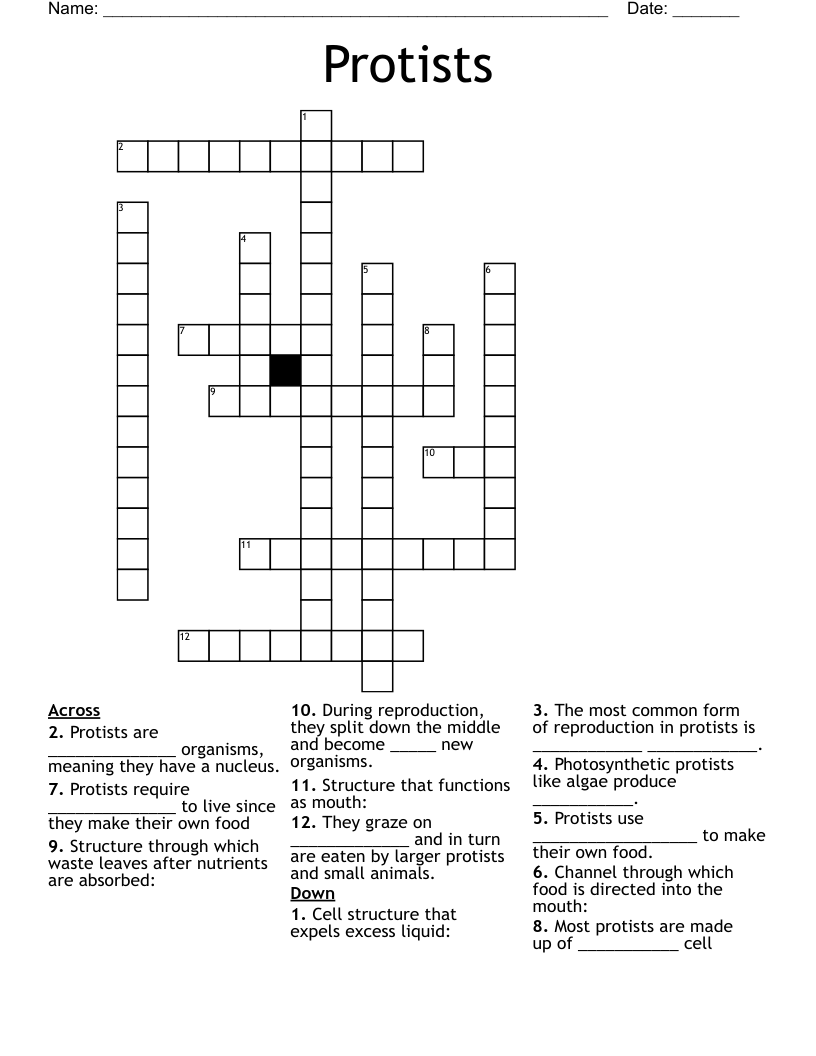 Protists Crossword