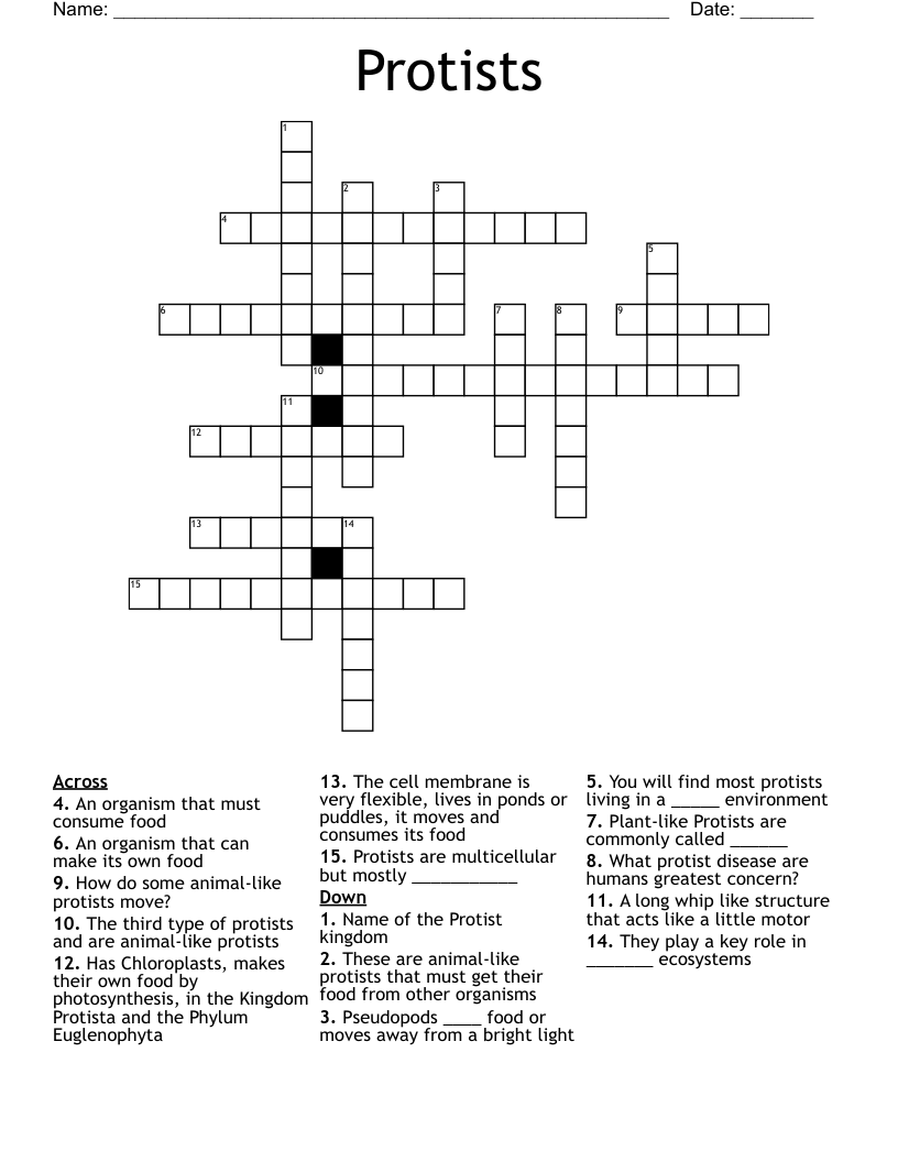 Protists Crossword