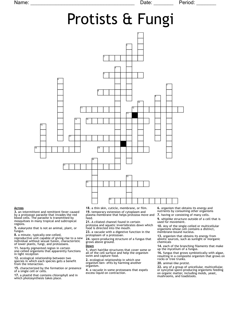 Protists & Fungi Crossword