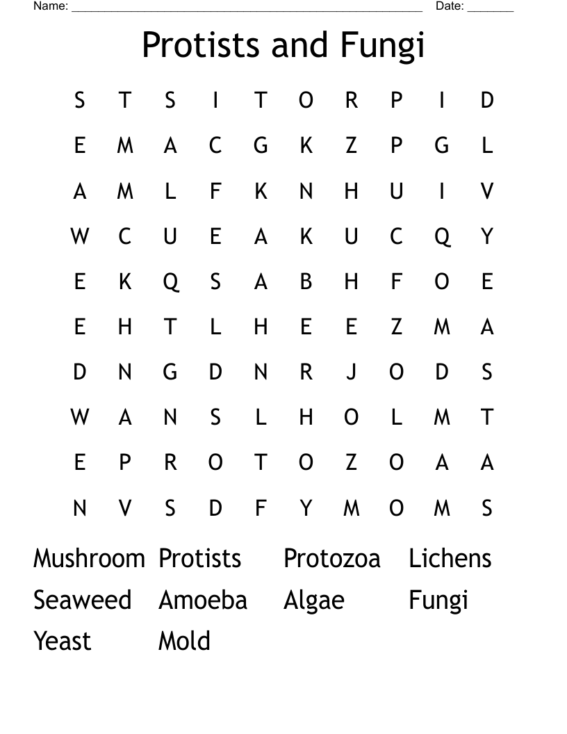 Protists and Fungi Word Search