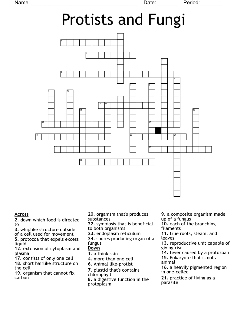Protists and Fungi  Crossword