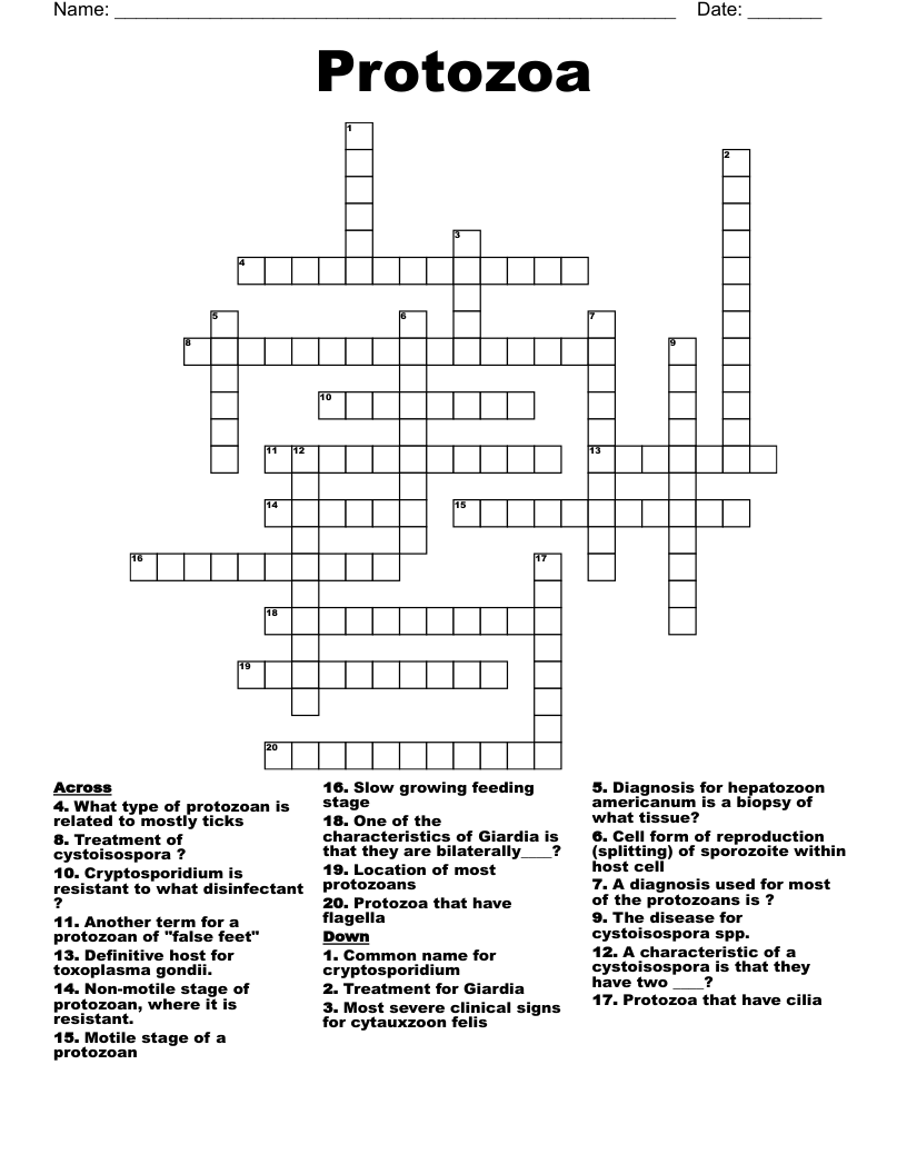Protozoa Crossword