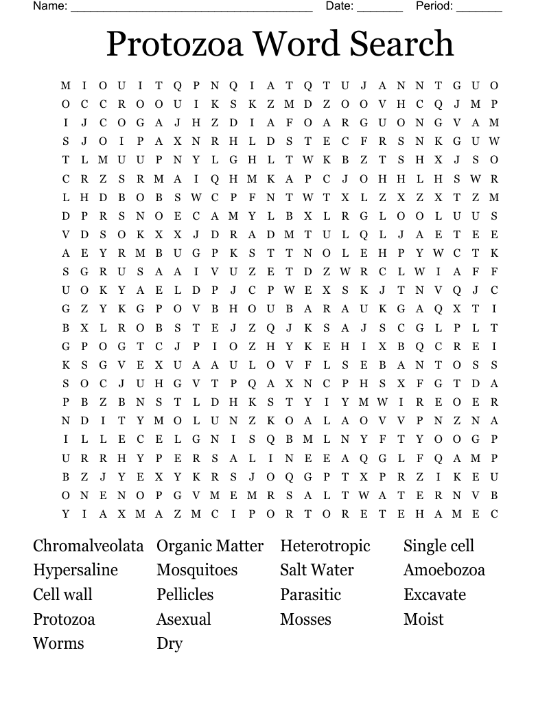 Protozoa Word Search