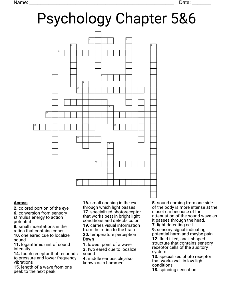 Psychology Chapter 5&6 Crossword