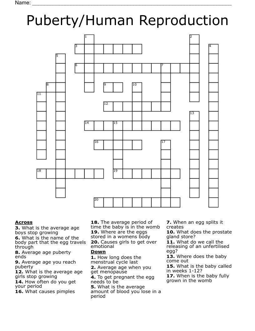Puberty/Human Reproduction Crossword