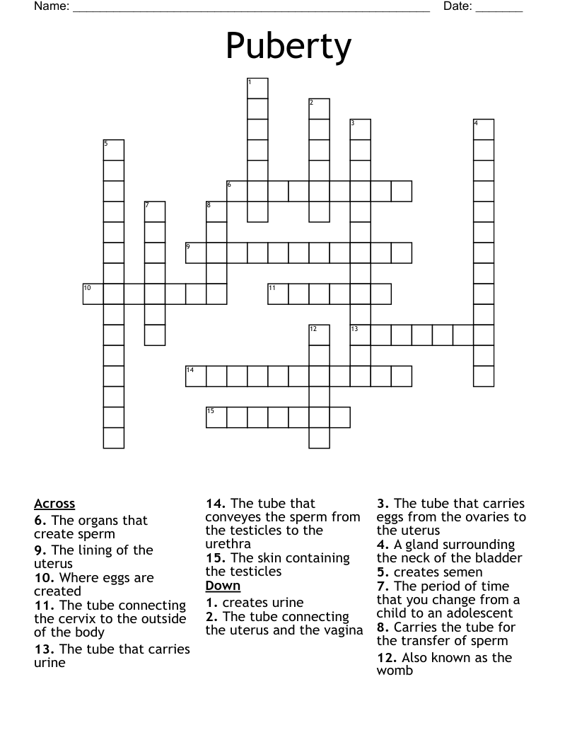 Puberty Crossword