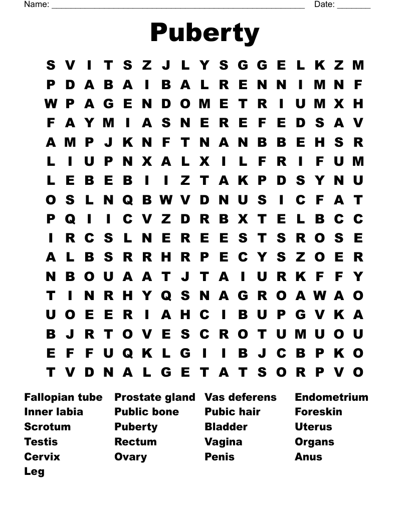 Puberty  Word Search