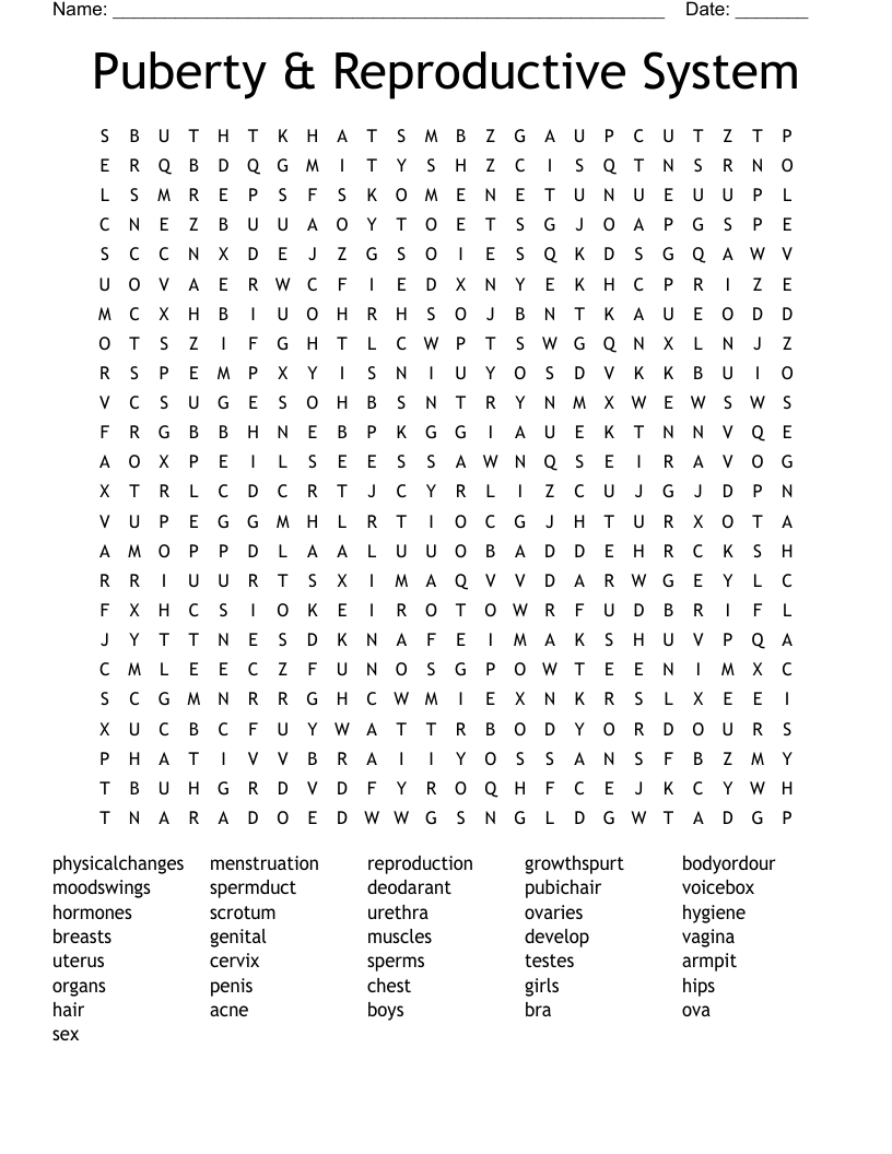 Puberty & Reproductive System Word Search