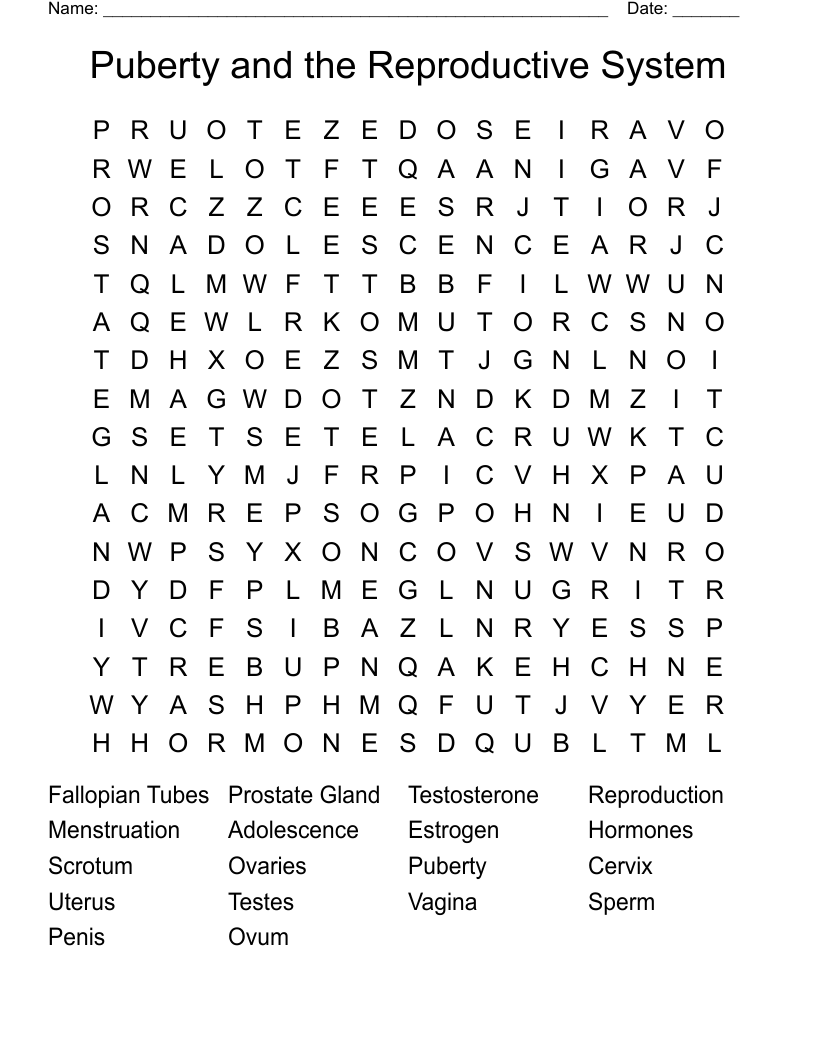 Puberty and the Reproductive System  Word Search
