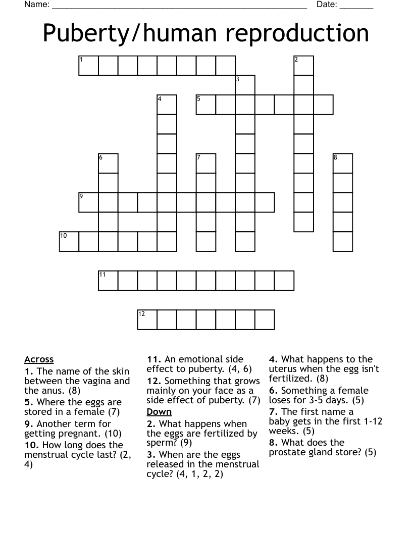 Puberty/human reproduction Crossword