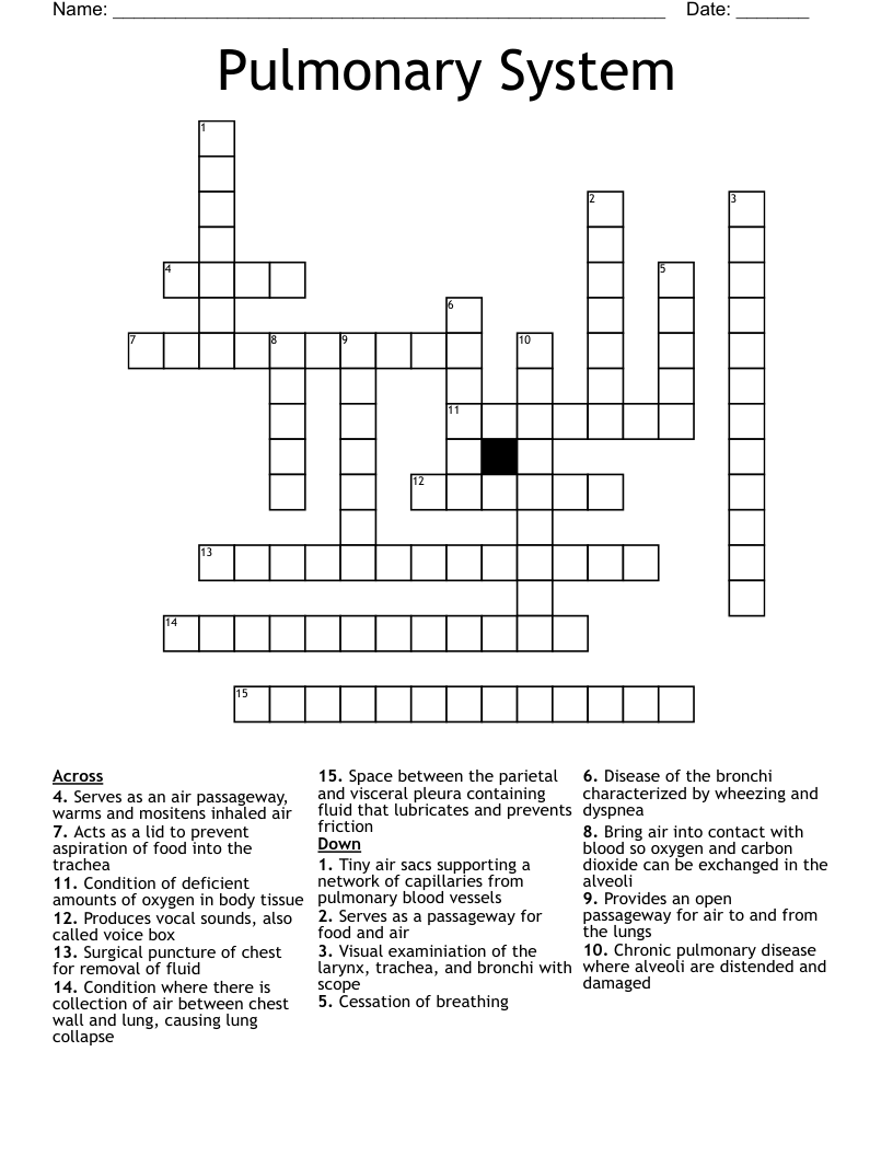 Pulmonary System Crossword