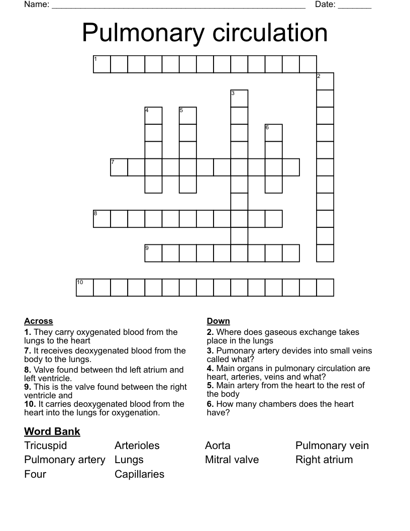 Pulmonary circulation Crossword