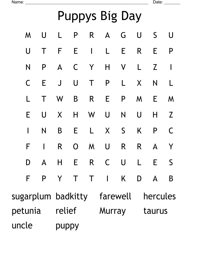 Puppys Big Day Word Search