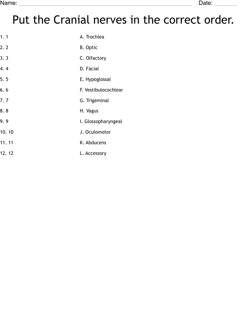 Put the Cranial nerves in the correct order. Worksheet