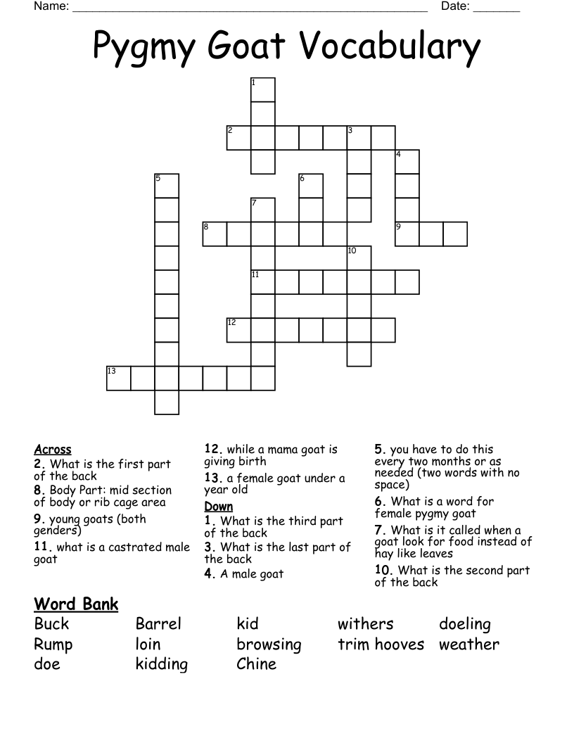 Pygmy Goat Vocabulary Crossword