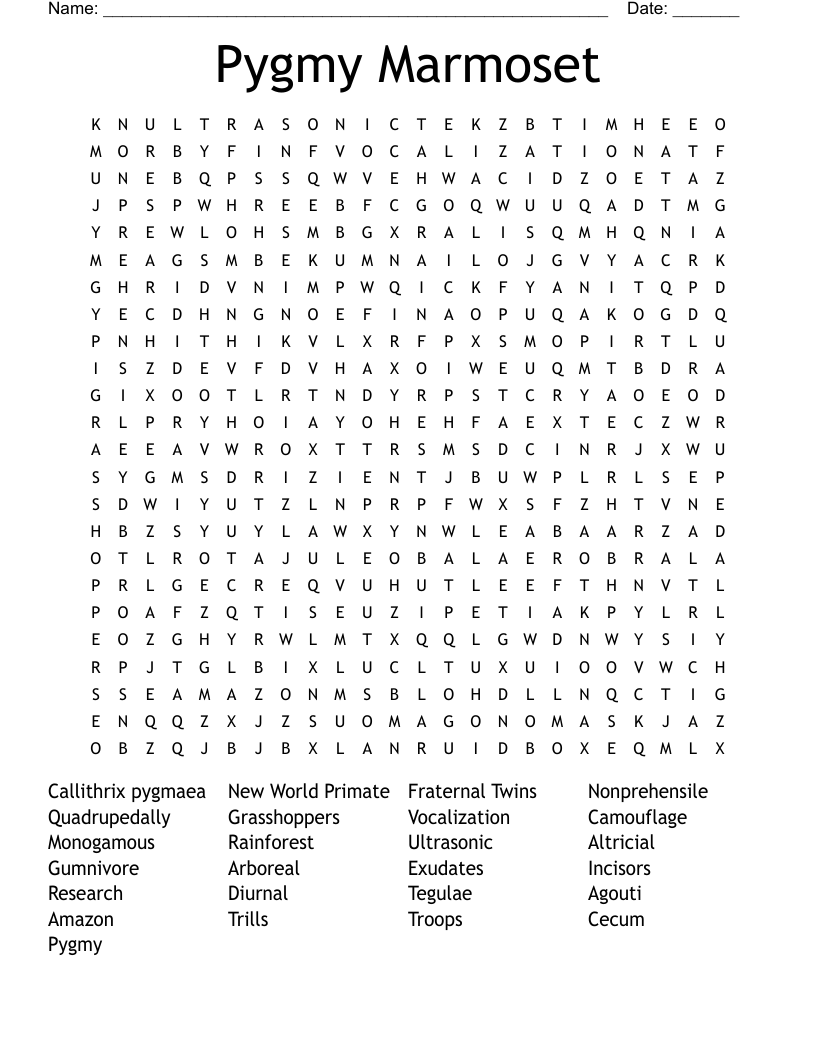 Pygmy Marmoset Word Search