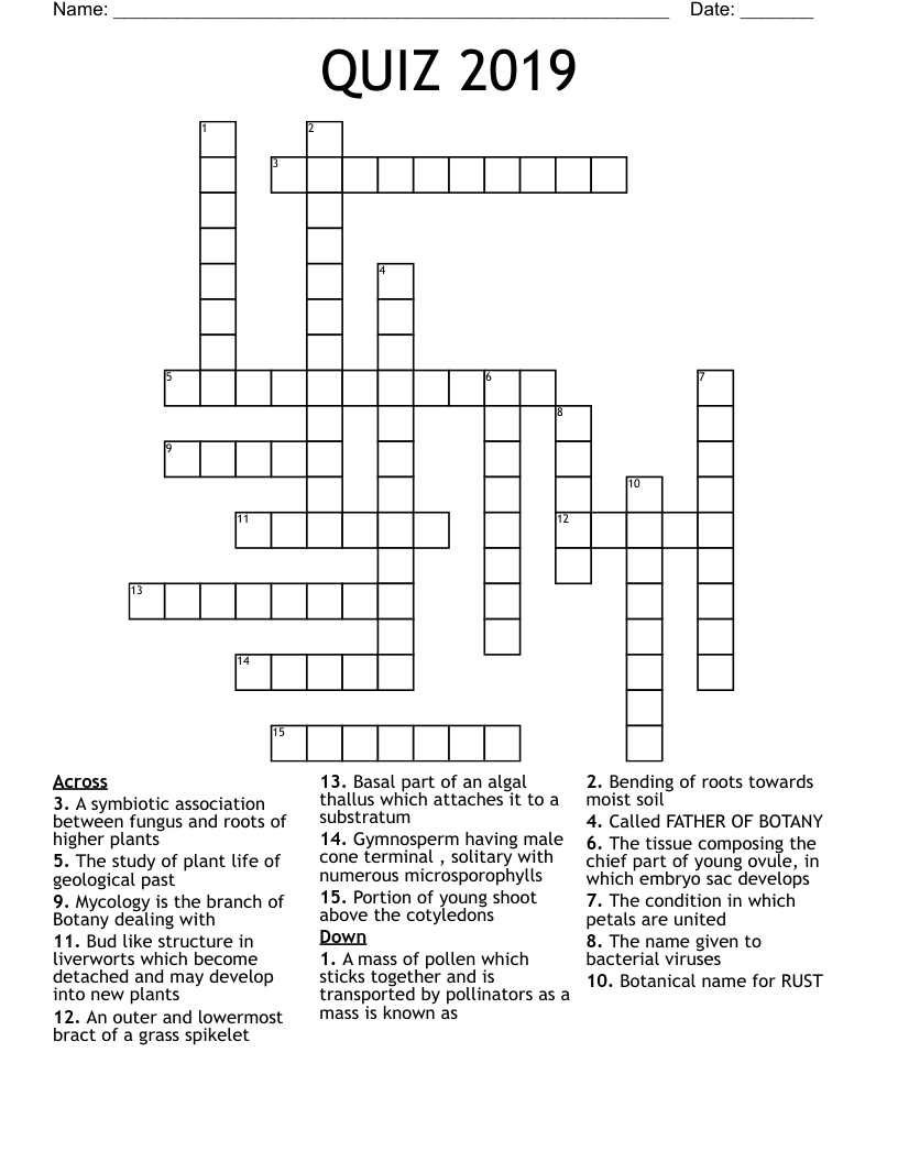 QUIZ 2019 