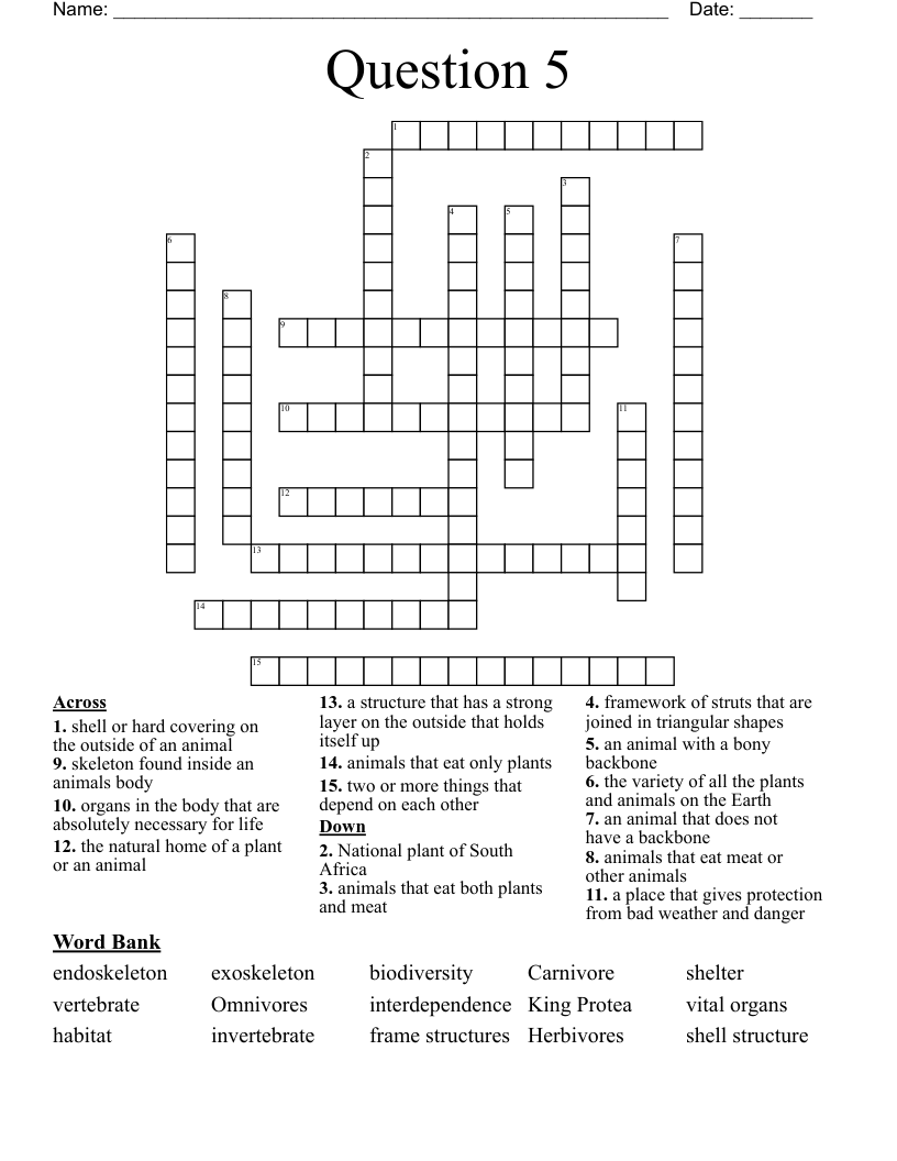 Question 5 Crossword