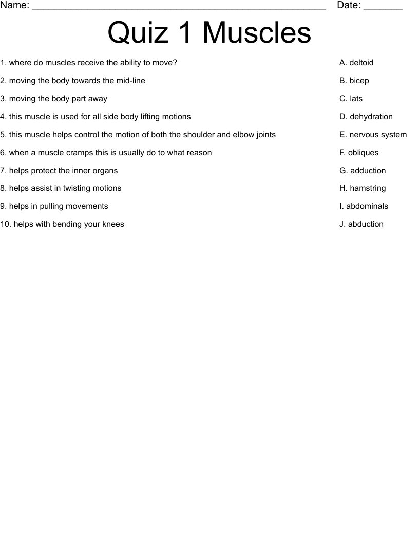 Quiz 1 Muscles Worksheet