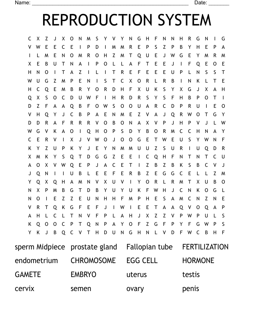 REPRODUCTION SYSTEM  Word Search