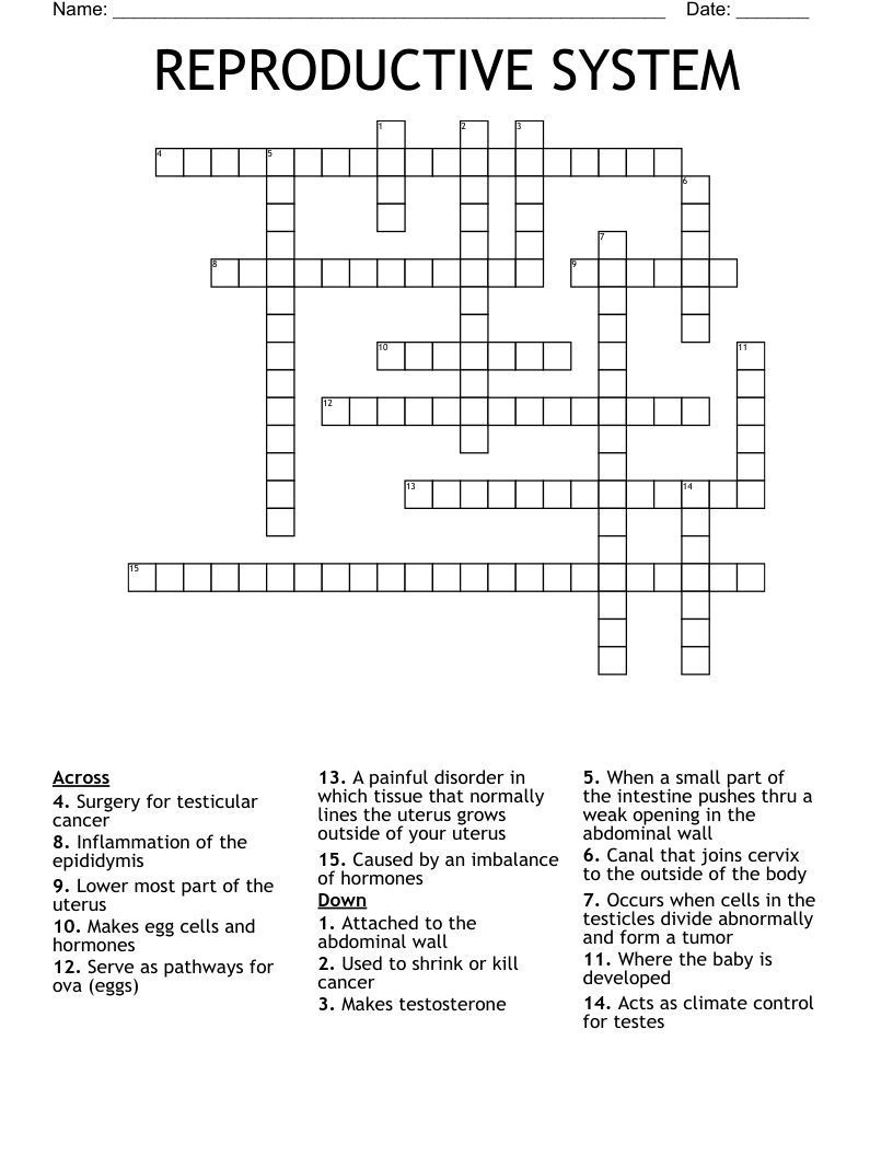 REPRODUCTIVE SYSTEM Crossword