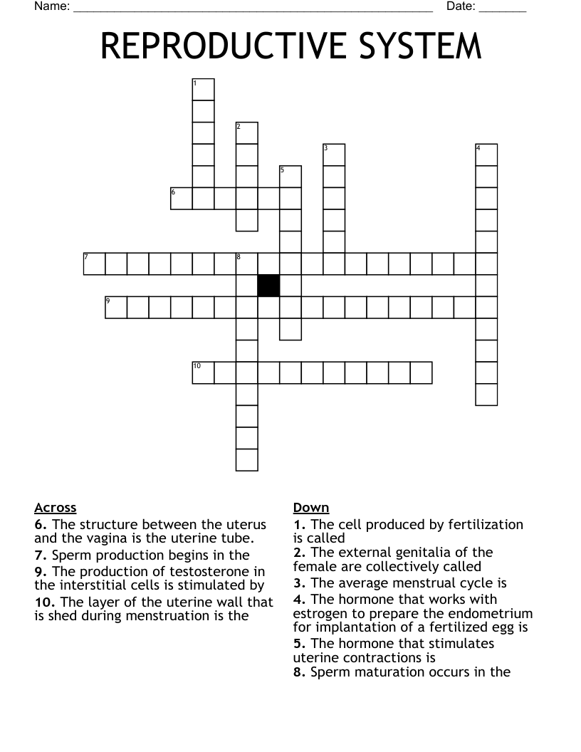 REPRODUCTIVE SYSTEM  Crossword