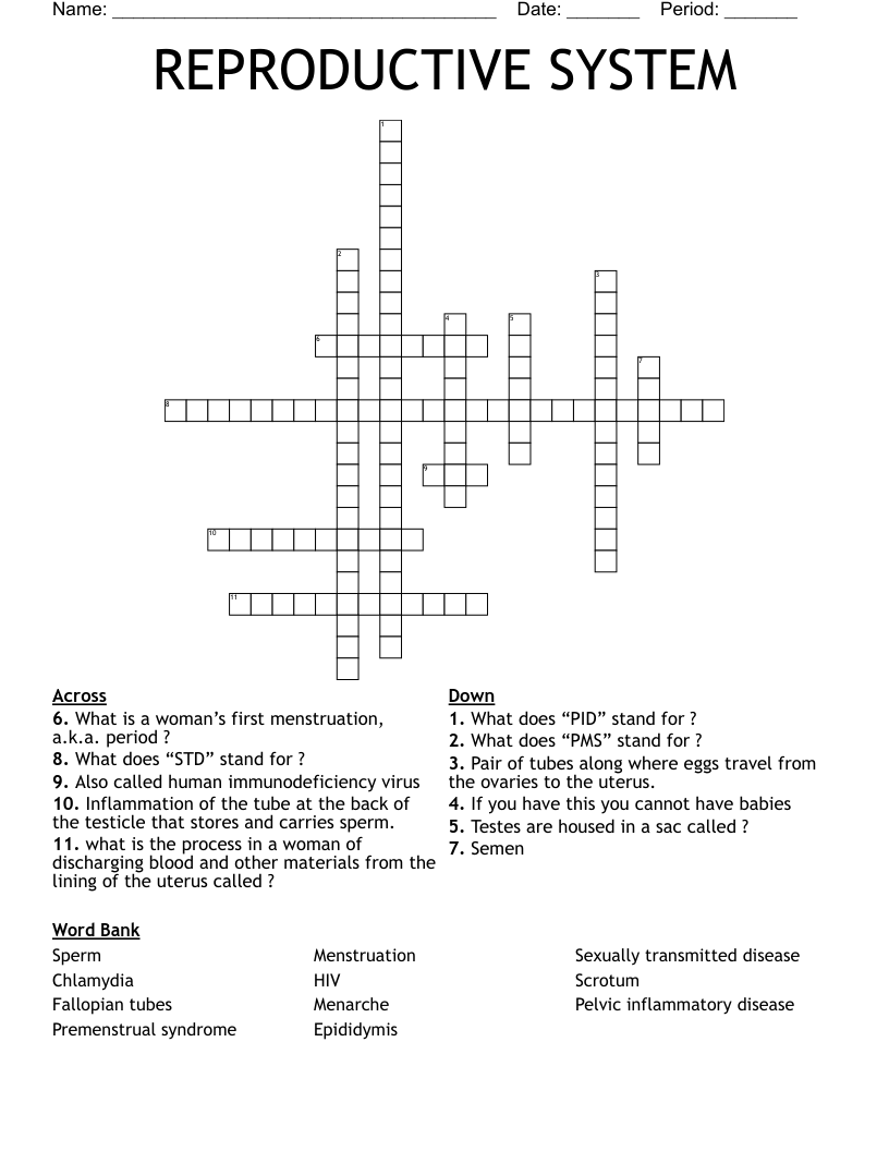 REPRODUCTIVE SYSTEM  Crossword