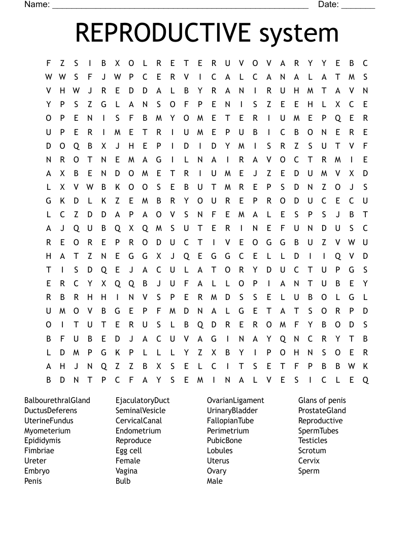 REPRODUCTIVE system Word Search