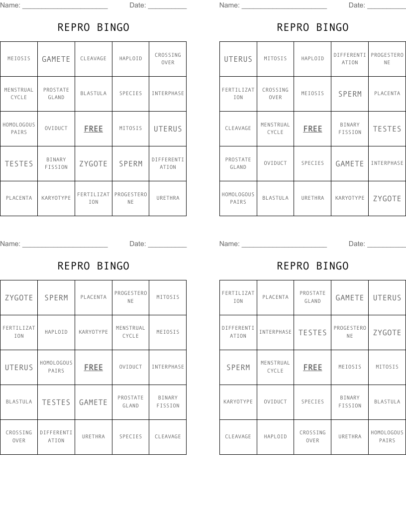 REPRO BINGO