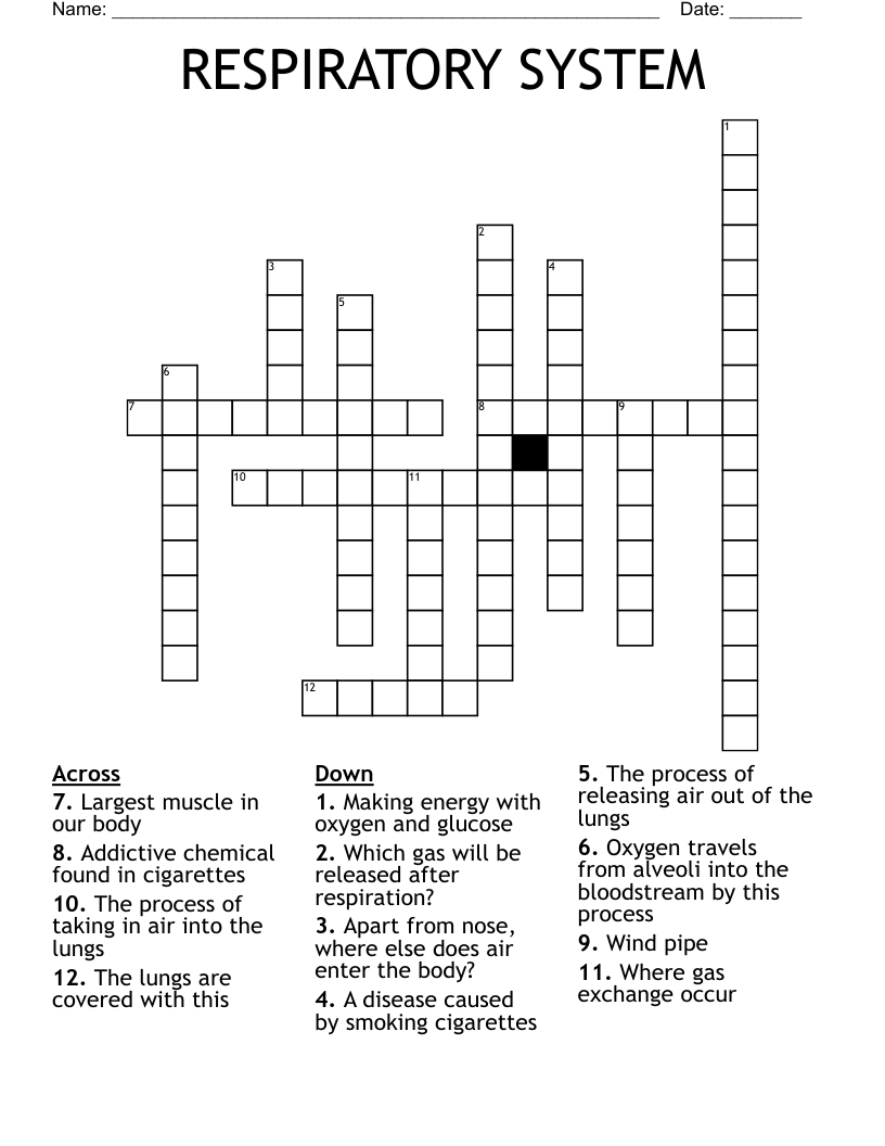 RESPIRATORY SYSTEM Crossword