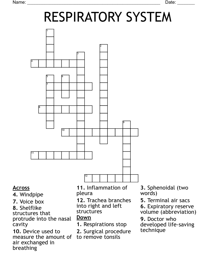 RESPIRATORY SYSTEM Crossword