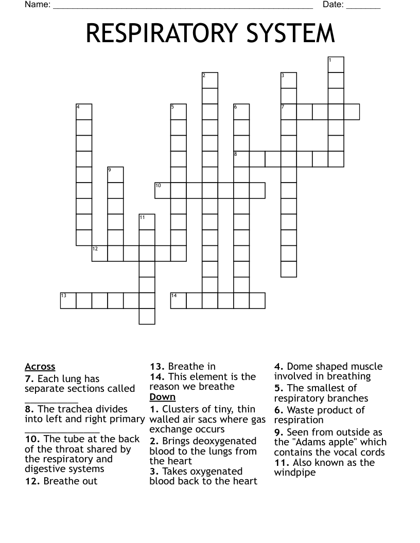 RESPIRATORY SYSTEM Crossword