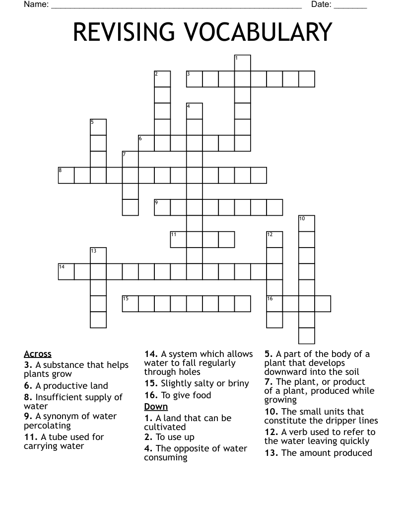 REVISING VOCABULARY Crossword