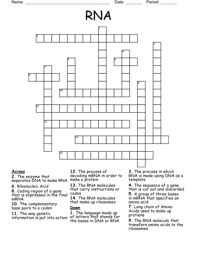 RNA Crossword