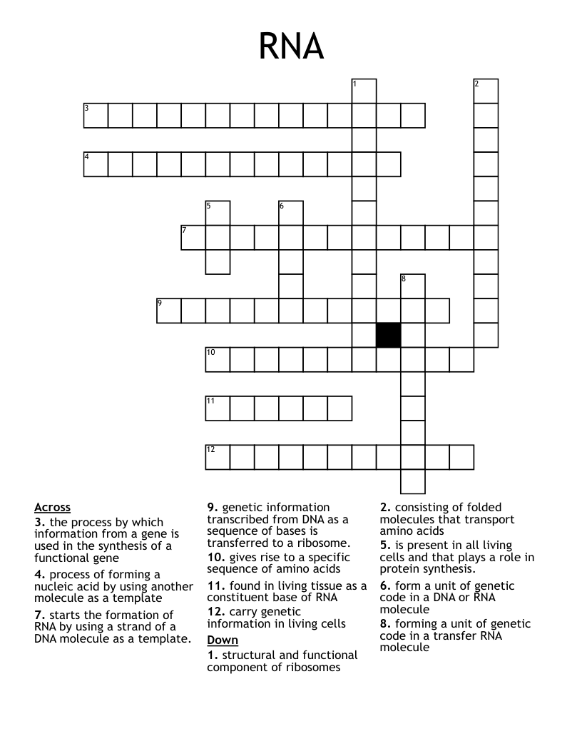 RNA Crossword
