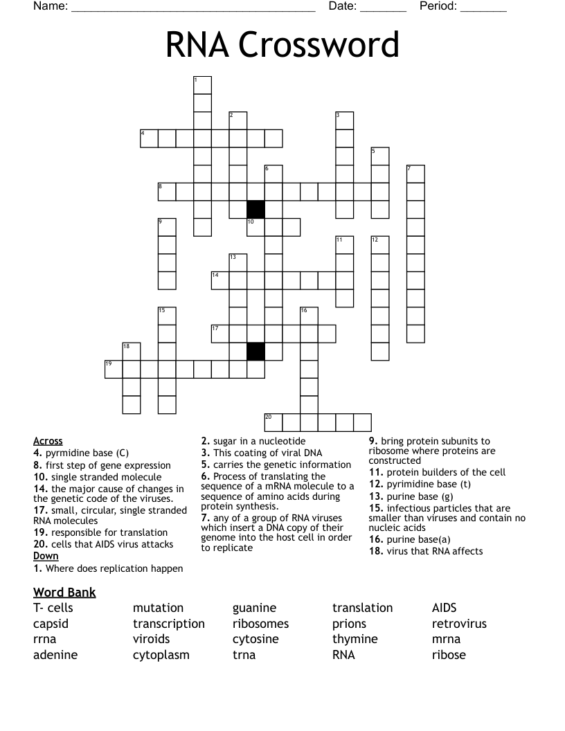 RNA Crossword
