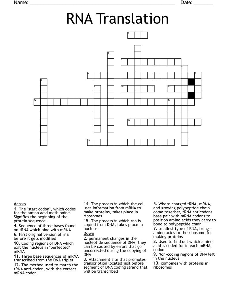 RNA Translation Crossword